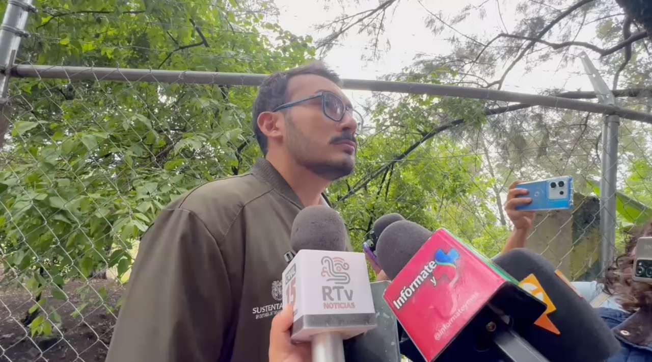 Esterilizarán gatos ferales del ALM y Chapultepec para evitar sobrepoblación