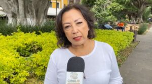 Acusan a diputado del PAN de plagiar iniciativa sobre maltrato animal