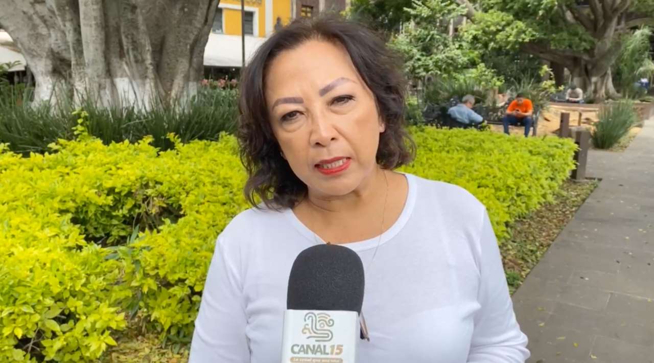 Acusan a diputado del PAN de plagiar iniciativa sobre maltrato animal