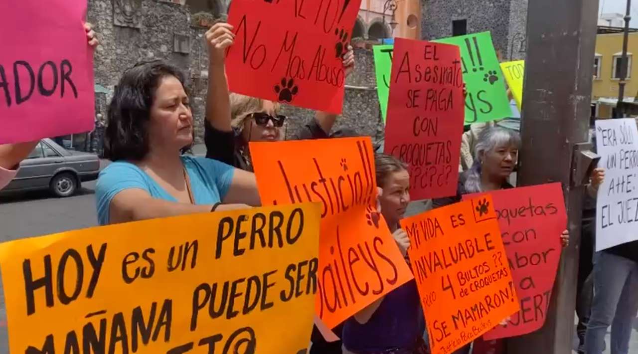 Protestan contra jueces en Morelos por decisión en caso de maltrato animal