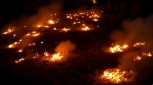 Arrasan incendios 400 mil hectáreas en España