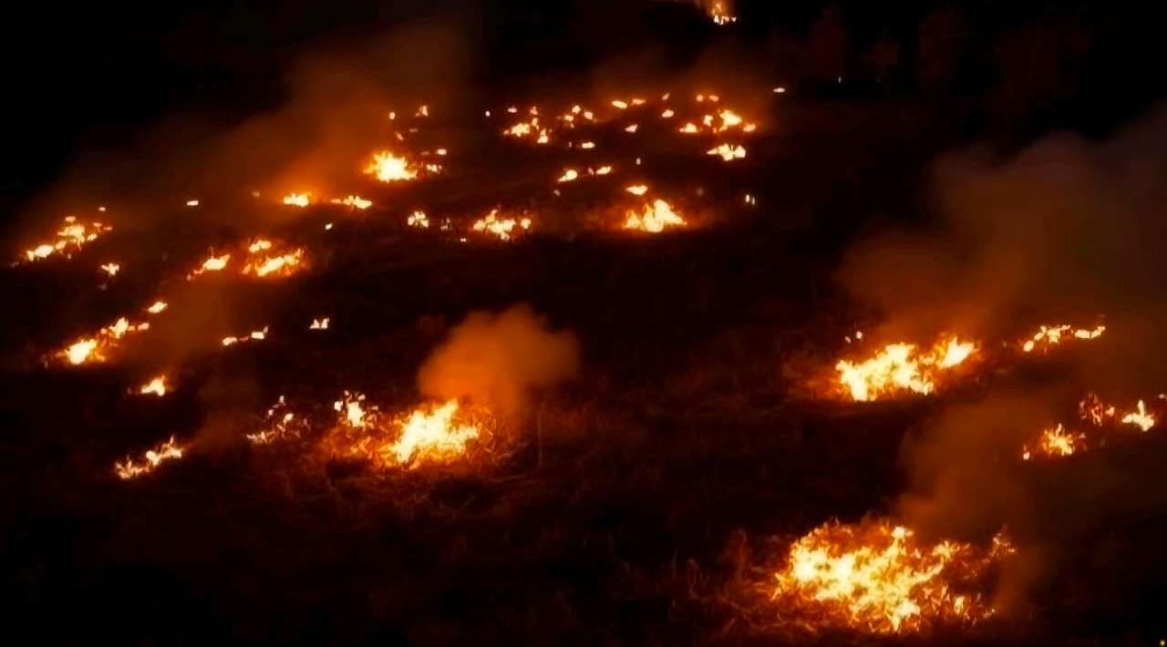 Arrasan incendios 400 mil hectáreas en España