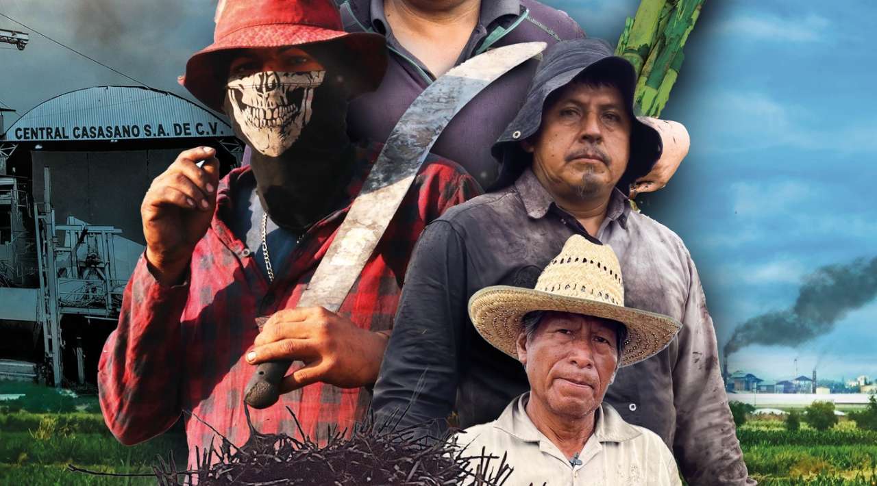 Cartelera Cultural 21 de agosto 2025