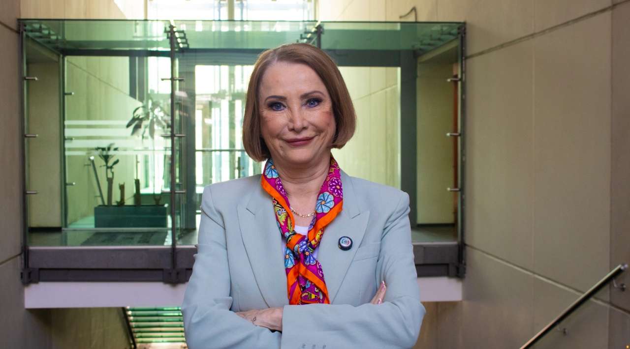 Laura Itzel Castillo, arquitecta y luchadora social, presidirá el Senado de la República