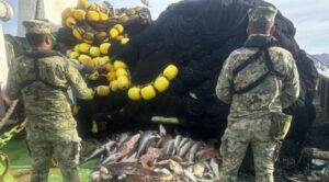 Incautan más de 4 mil toneladas de pesca ilegal en 18 estados