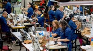 Población Económicamente Activa llega a 61.1 millones en segundo trimestre de 2025: INEGI