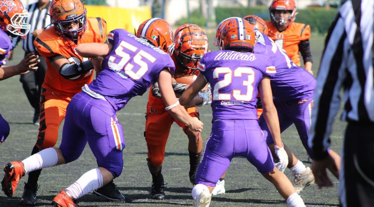 Wildcats Cuernavaca rugen en su temporada debut y conquistan tres campeonatos en FADEMAC