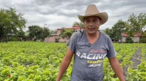 Productores de Tlaltizapán refuerzan vigilancia en cultivos de flores por lluvias intensas