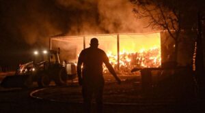 Grecia solicita ayuda europea para combatir múltiples incendios forestales