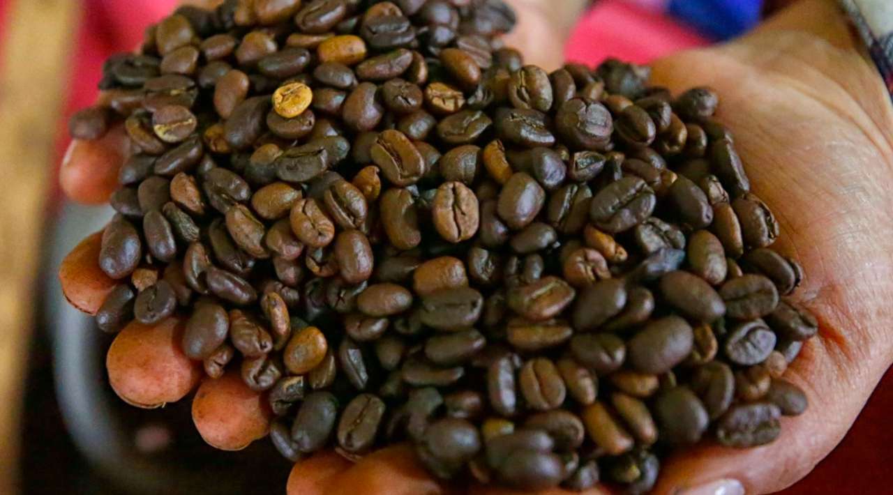 Exportaciones mexicanas de café se disparan 135%