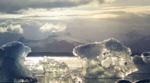 Superficie marina se calienta, alcanzó en 2024 temperatura global récord de 21 ºC