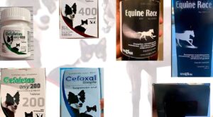 Sader alerta sobre venta de medicamentos veterinarios falsificados en México