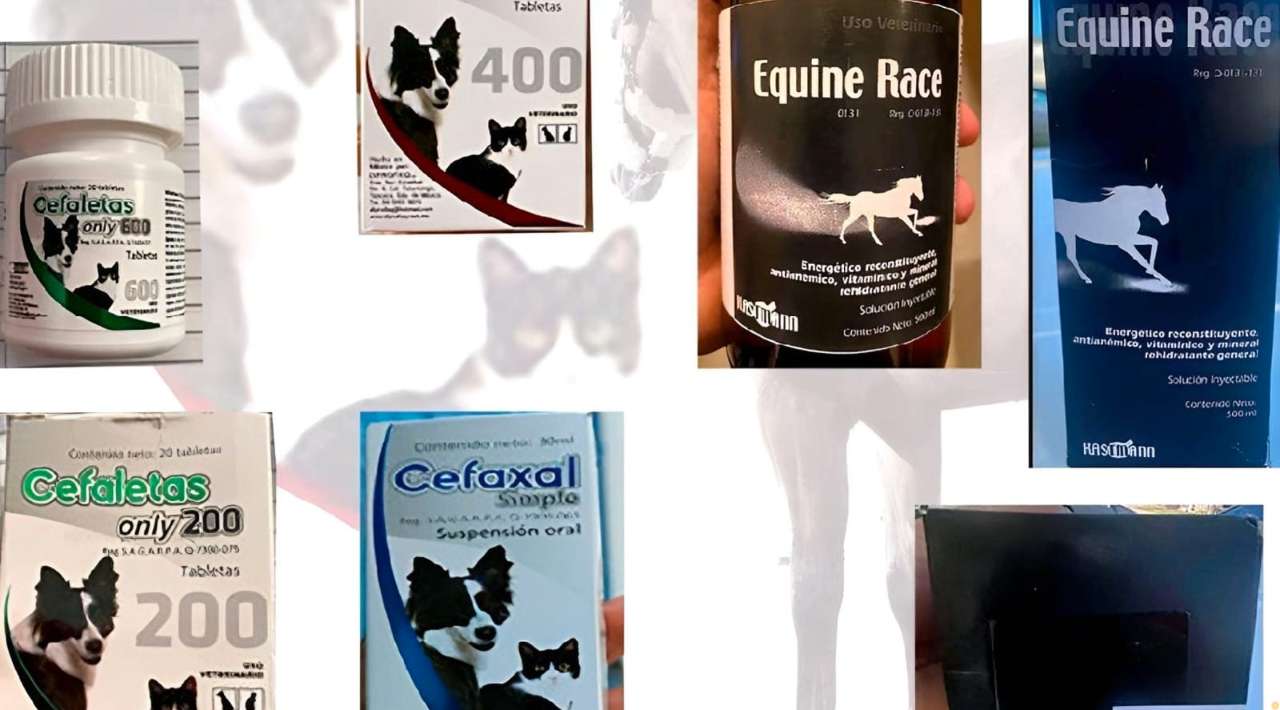 Sader alerta sobre venta de medicamentos veterinarios falsificados en México