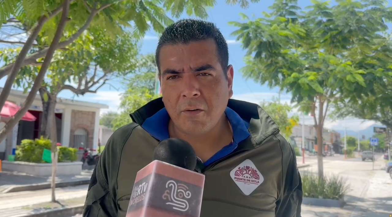 Lluvias provocan caída de árbol sobre escuela primaria en Puente de Ixtla