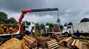 Clausuran aserraderos ilegales en Edomex y Morelos; aseguraron madera de pino y oyamel