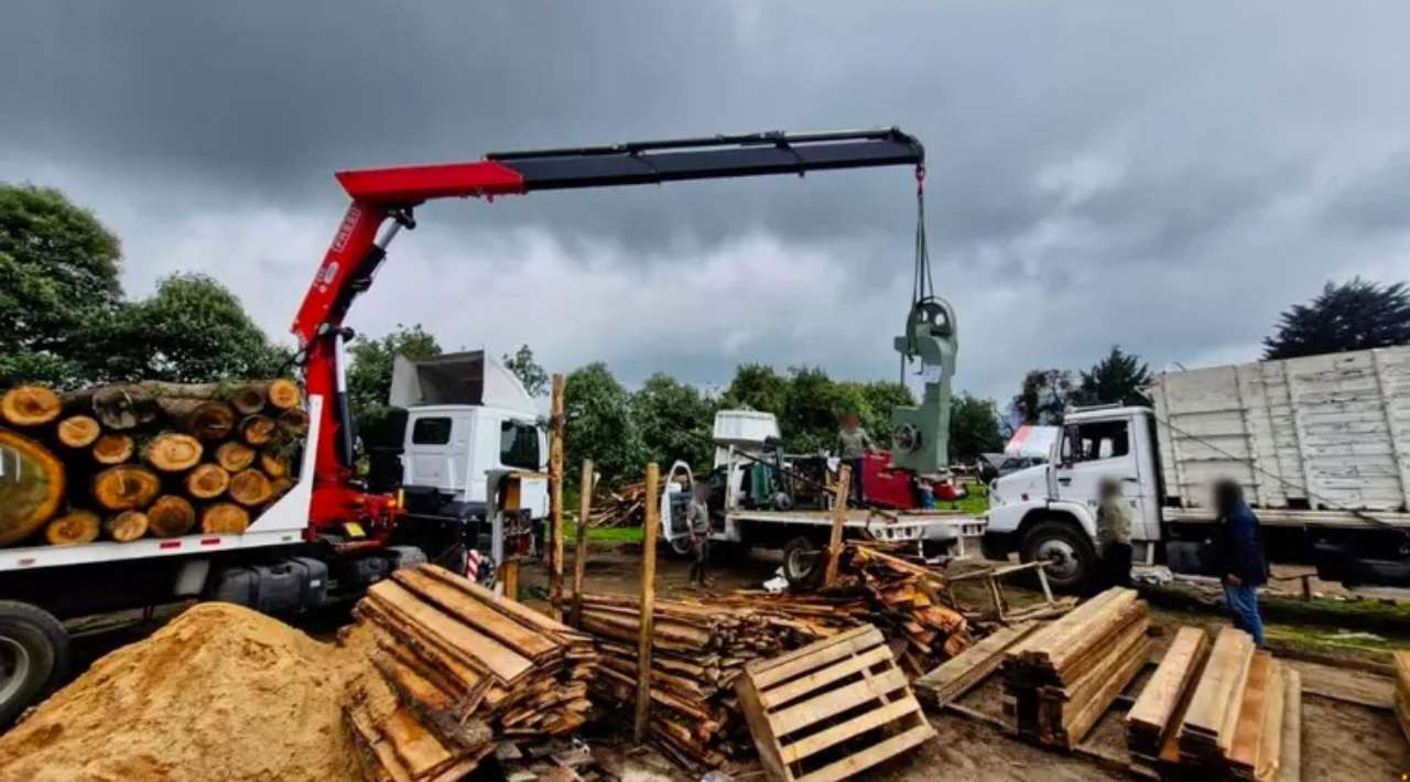 Clausuran aserraderos ilegales en Edomex y Morelos; aseguraron madera de pino y oyamel