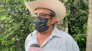 Desplaza caña de azúcar al arroz en zona sur por falta de rotación de cultivos