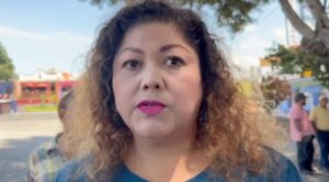 Lluvias afectan producción apícola en Tlaltizapán; reportan caída del 50%