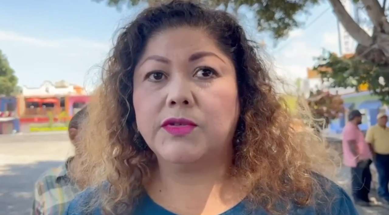 Lluvias afectan producción apícola en Tlaltizapán; reportan caída del 50%