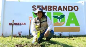 Gobierno Federal resalta inversión de 39 mil mdp en programas ambientales. “México invierte más que todos los países del mundo”: Sheinbaum