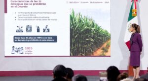 Sheinbaum anuncia decreto para prohibir plaguicidas altamente peligrosos