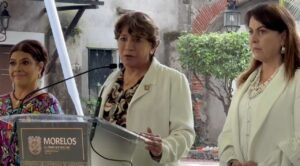 Estados del centro del país refuerzan acciones contra la tala clandestina