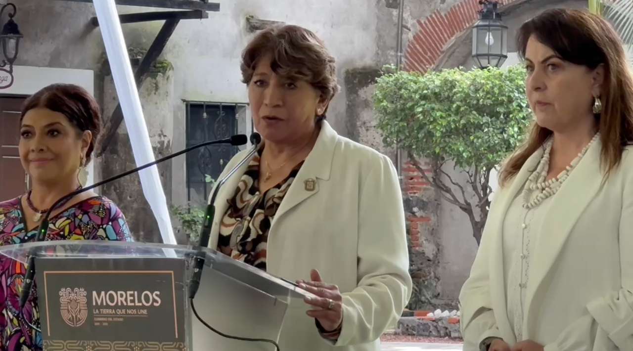 Estados del centro del país refuerzan acciones contra la tala clandestina