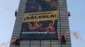 Activistas de Greenpeace escalan la Estela de Luz, exigen proteger la Selva Maya
