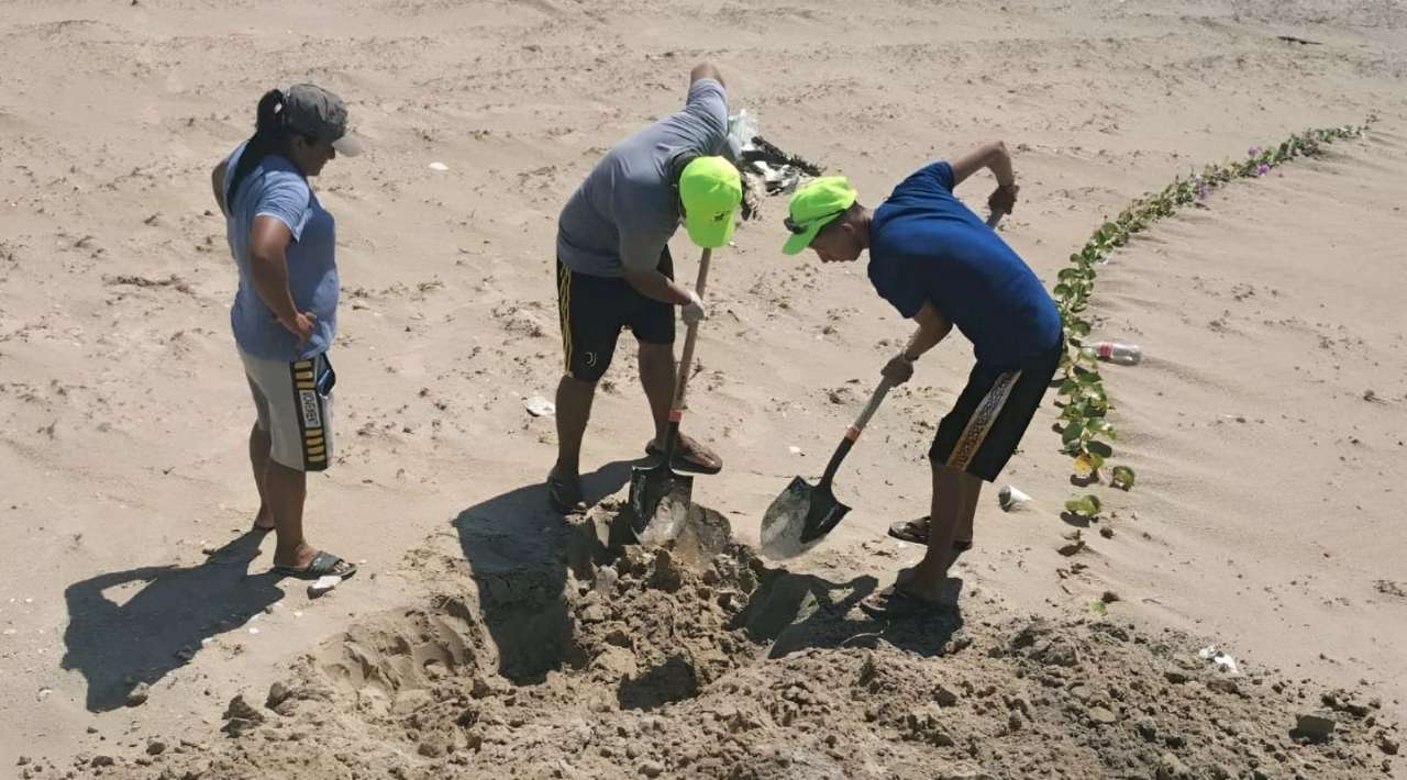 Confirman brote de gripe aviar en Matamoros; sepultan más de 400 aves