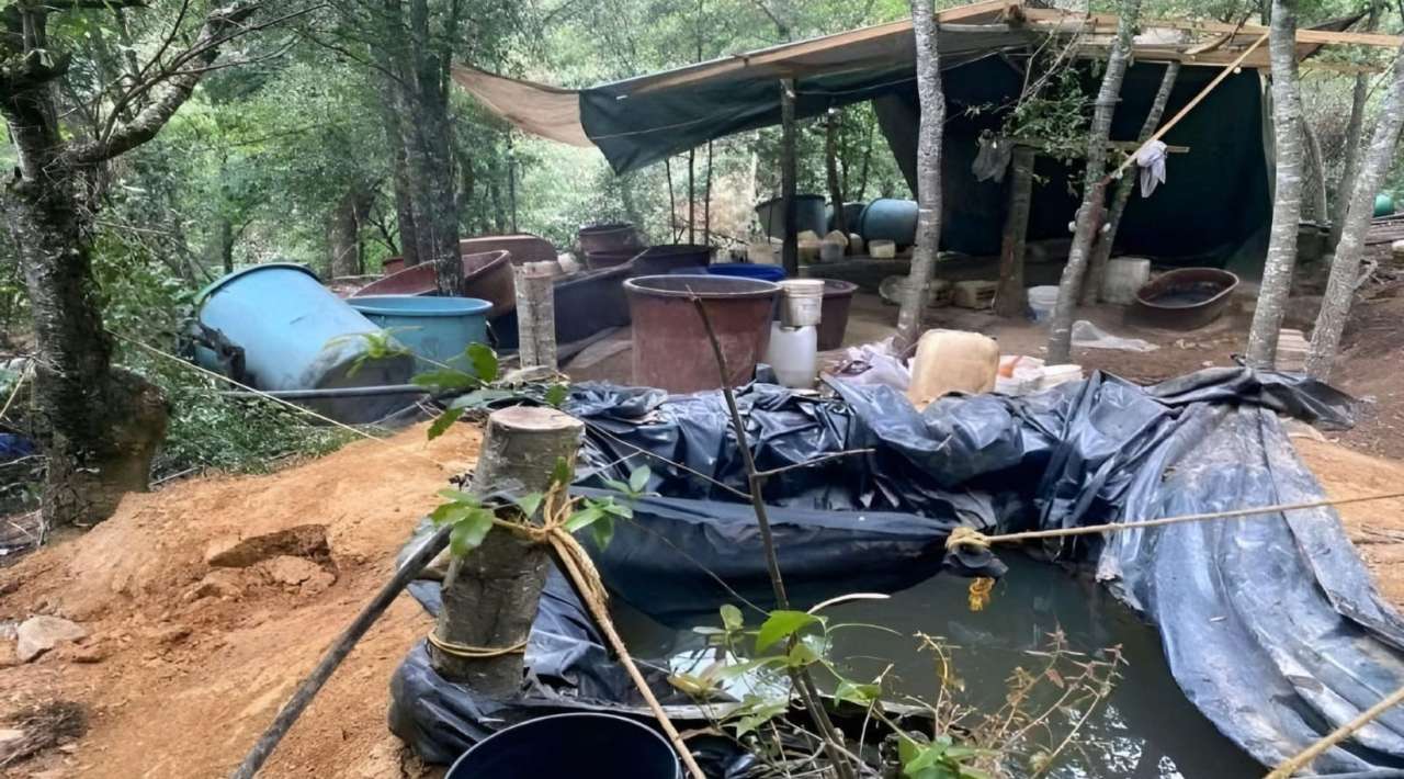 Desmantelan narcolaboratorio en Hidalgo