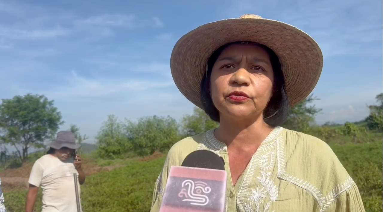 Sedagro diseña estrategias para estabilizar precios de cítricos y caña en Morelos