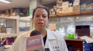 Investigadora del IBT-UNAM estudia plantas mexicanas para tratamiento contra la diabetes