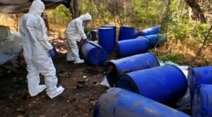 Aseguran drogas y sustancias químicas en Sinaloa por 756 mdp