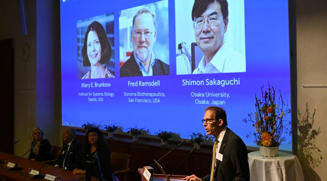 Premio Nobel de Medicina reconoce hallazgos sobre el sistema inmunológico