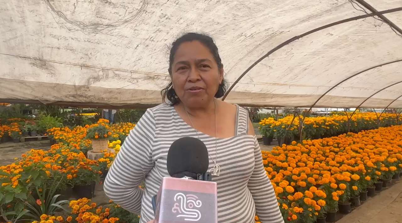 Tetela del Monte, lista para recibir visitantes en temporada de Cempasúchil