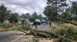 Frente frío 13 provoca afectaciones en al menos cinco estados del país