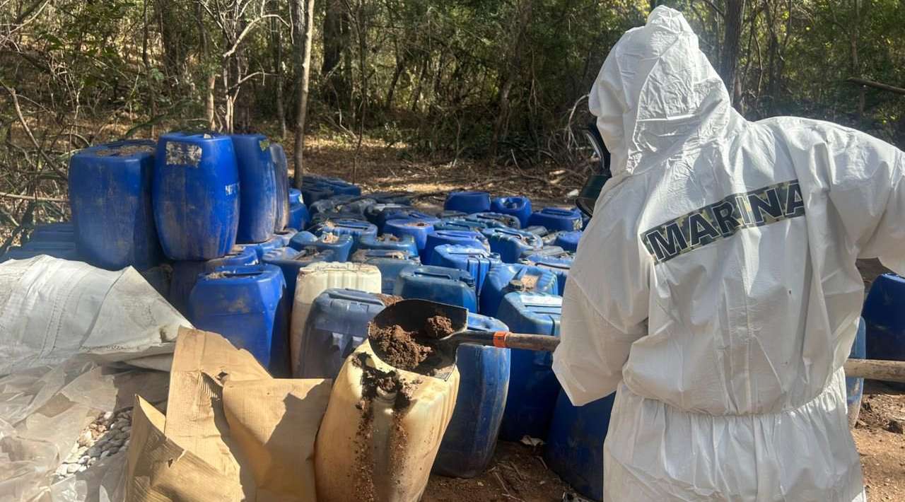 Inhabilitan laboratorio y ocho zonas de producción de droga en Sinaloa