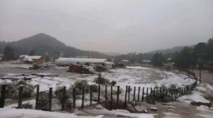 Primeras heladas del año tiñen de blanco zonas de Sonora y Durango