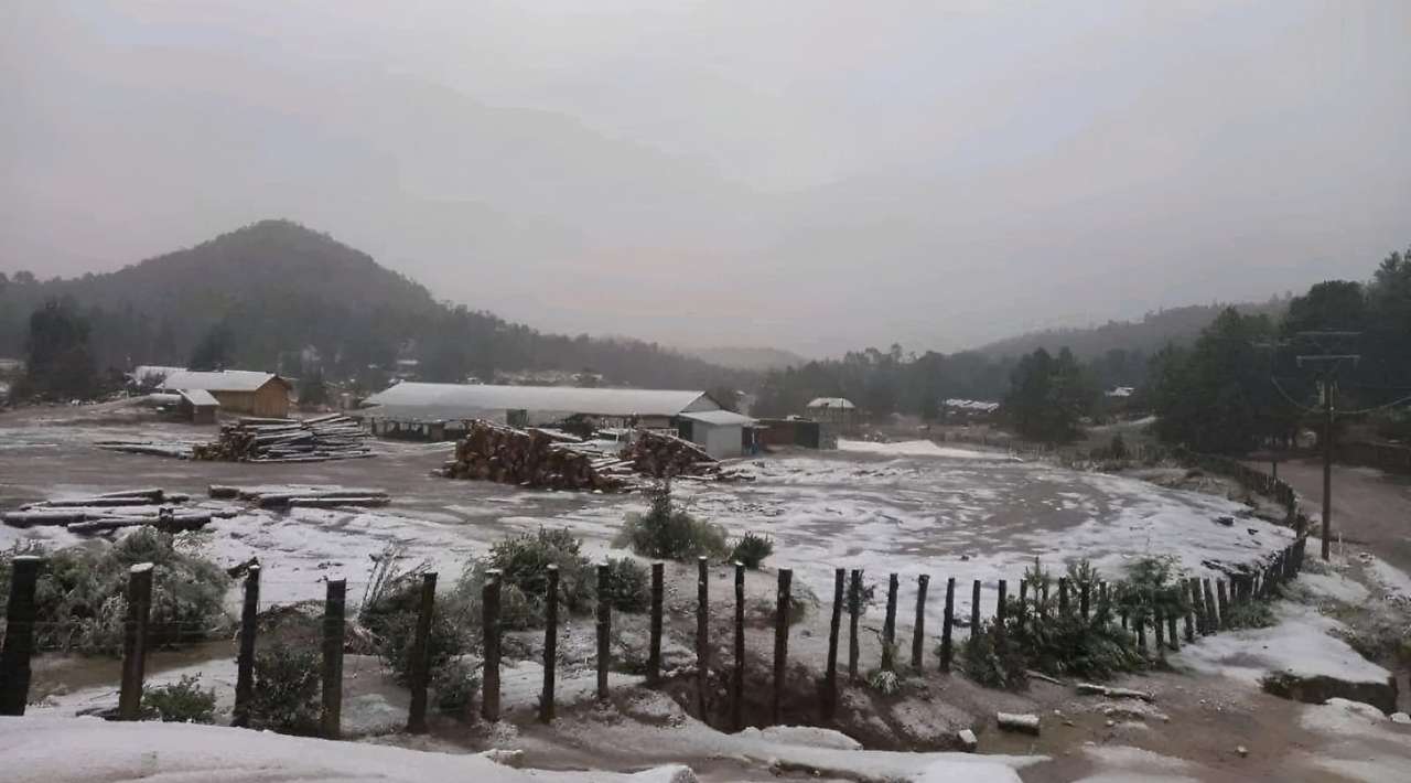 Primeras heladas del año tiñen de blanco zonas de Sonora y Durango