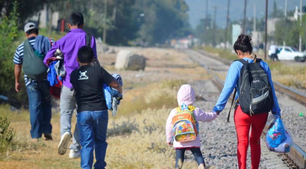 La OCDE reconoce avances de México en política migratoria; destaca reducción de 66% en migración irregular