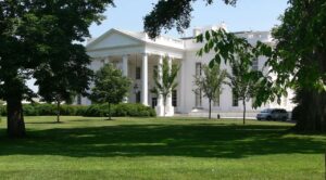 Casa Blanca celebra aniversario de las elecciones de 2024 a través de redes sociales