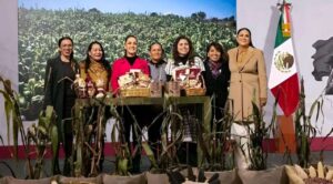 Sheinbaum presenta “El Maíz es la Raíz”, programa para fortalecer la producción del grano nativo