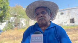 Arroceros de Morelos reportan producción de 3 mil 500 toneladas en 350 hectáreas