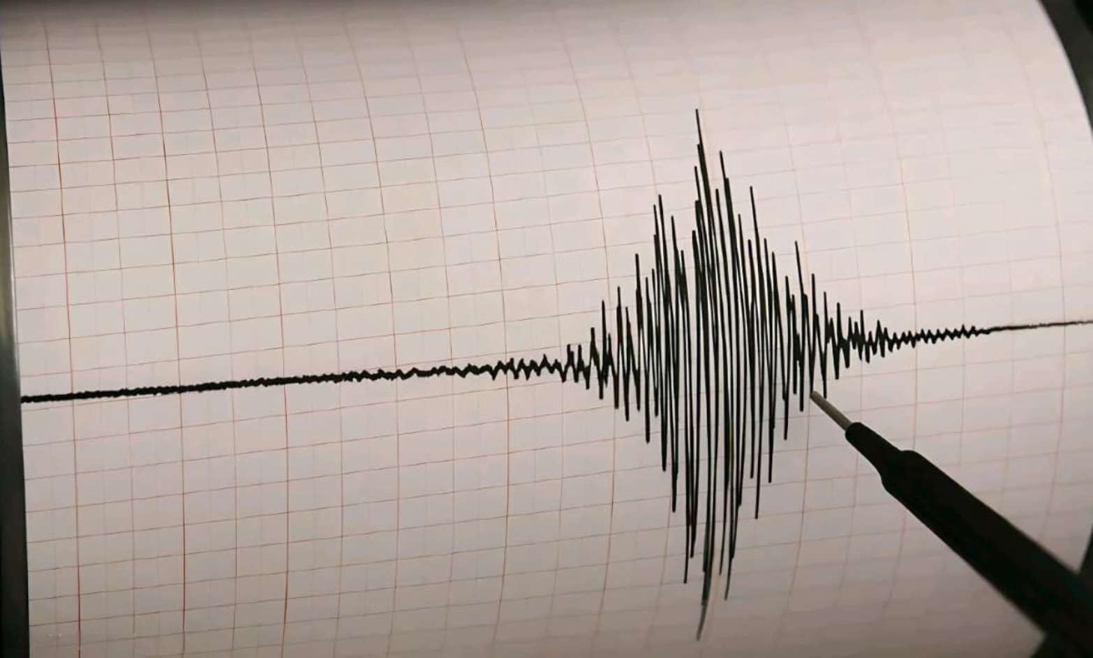 Sismo de magnitud 4.0 sacude San Pedro Pochutla, Oaxaca