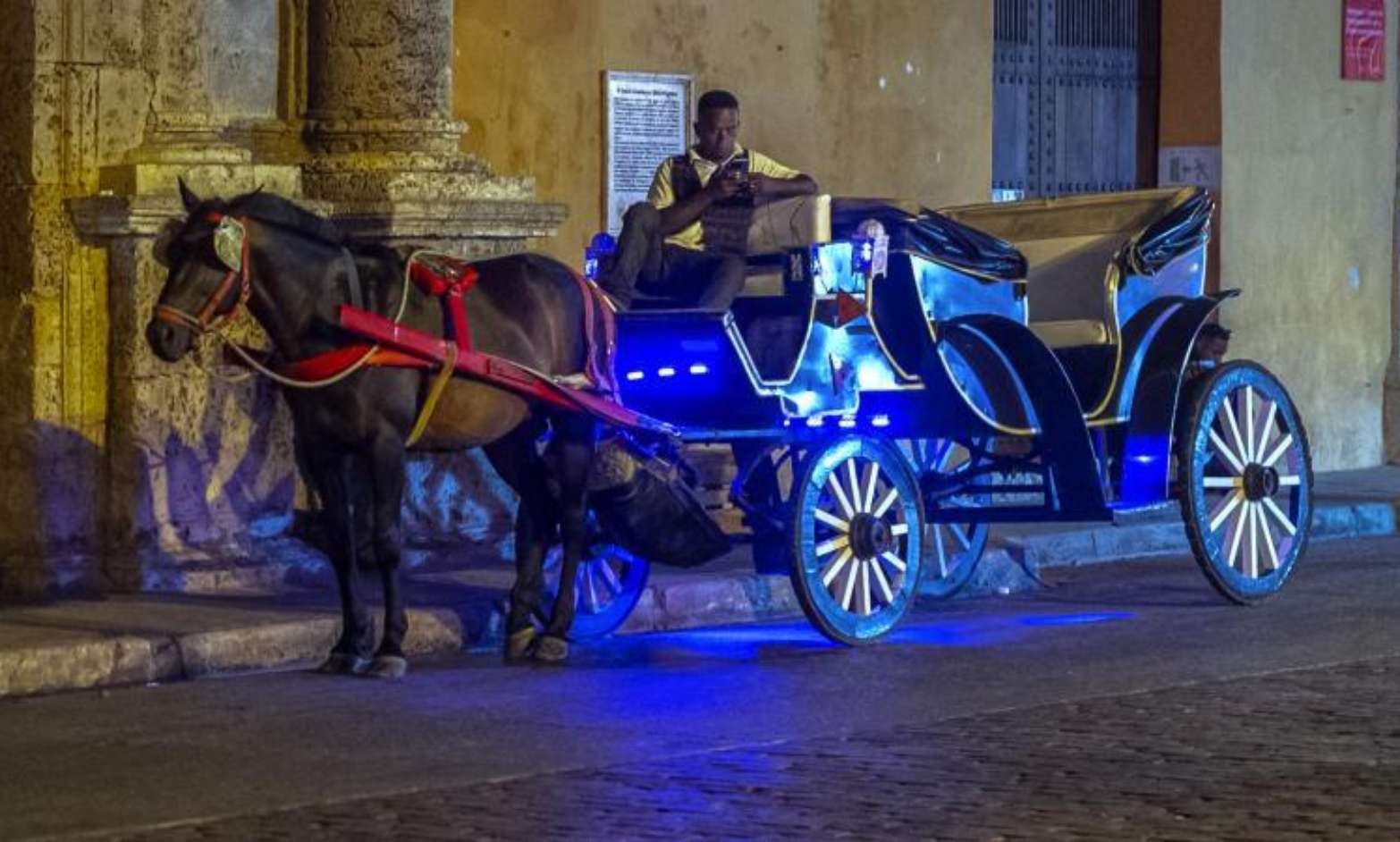 Cartagena dice adiós a los caballos: carruajes serán prohibidos en el centro histórico