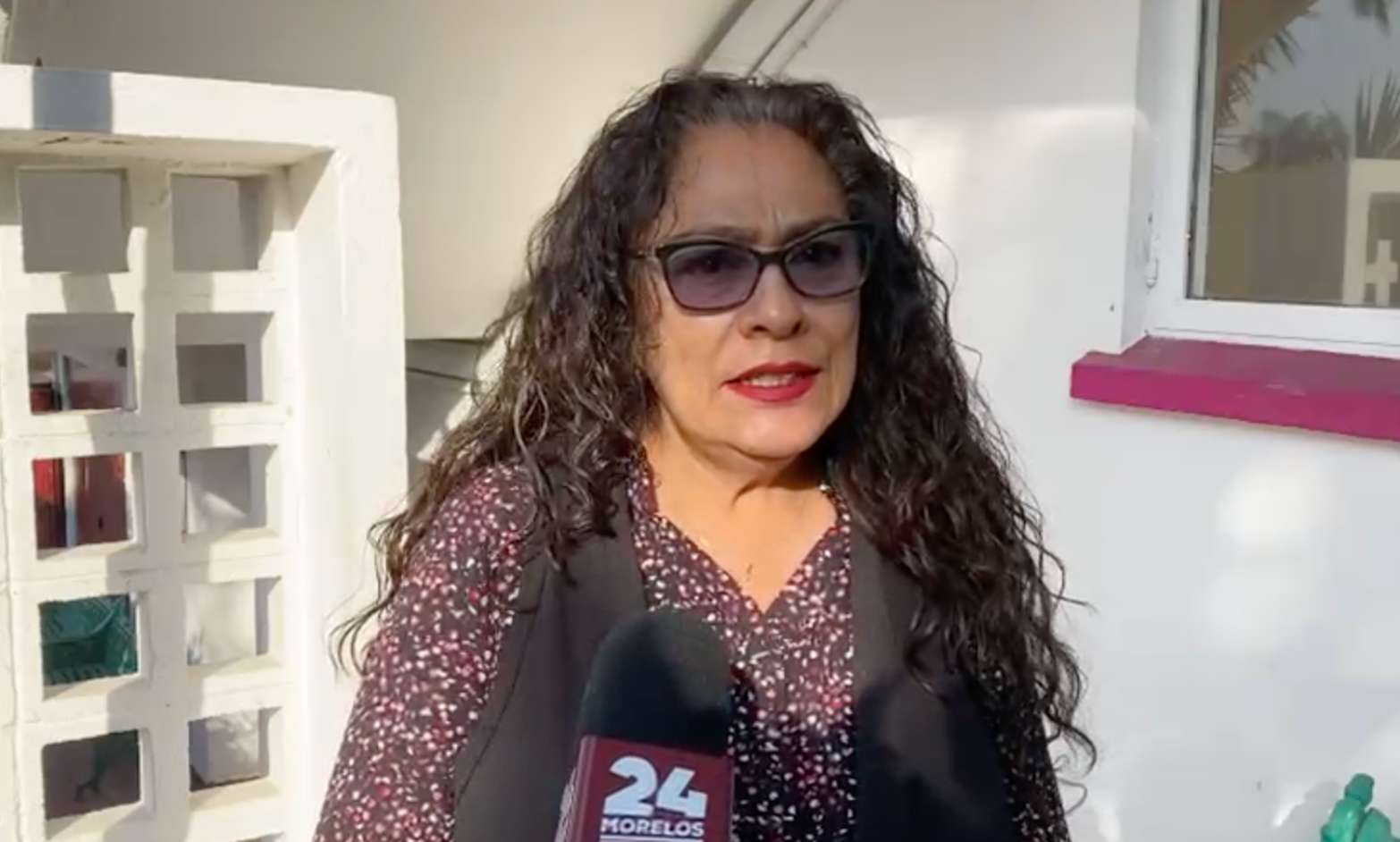 Pirotecnia afecta gravemente a los perros por su alta sensibilidad auditiva