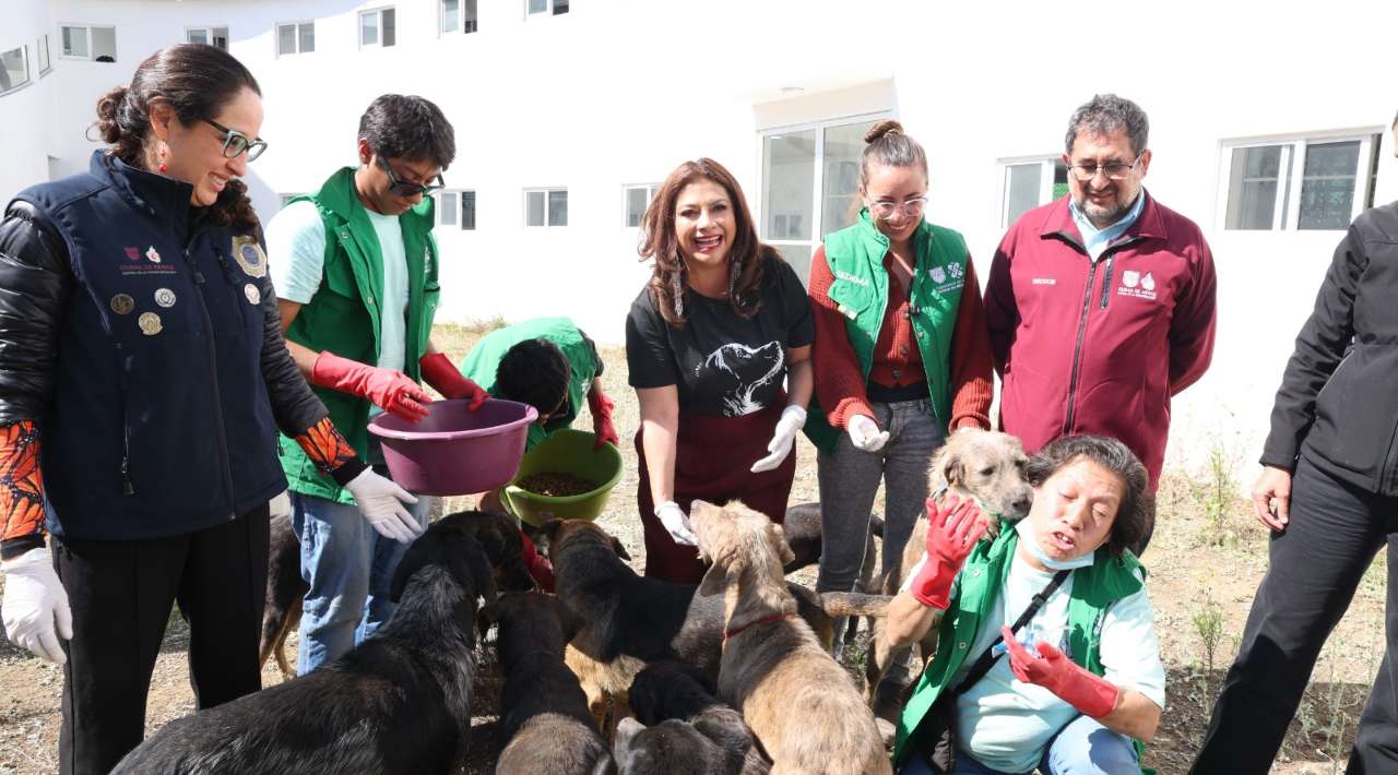 Trasladarán perros rescatados del Refugio Franciscano a Utopía de la Gustavo Amadeo