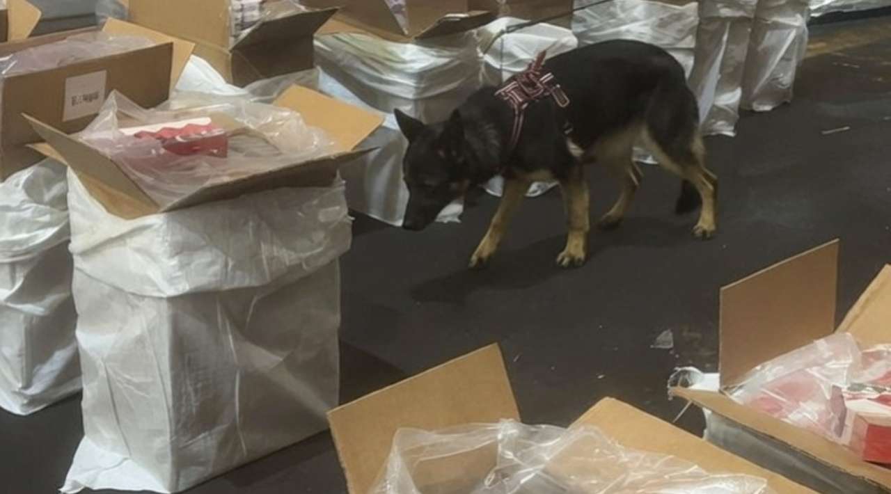 Aseguran 88 toneladas de cigarrillos de contrabando en el AICM