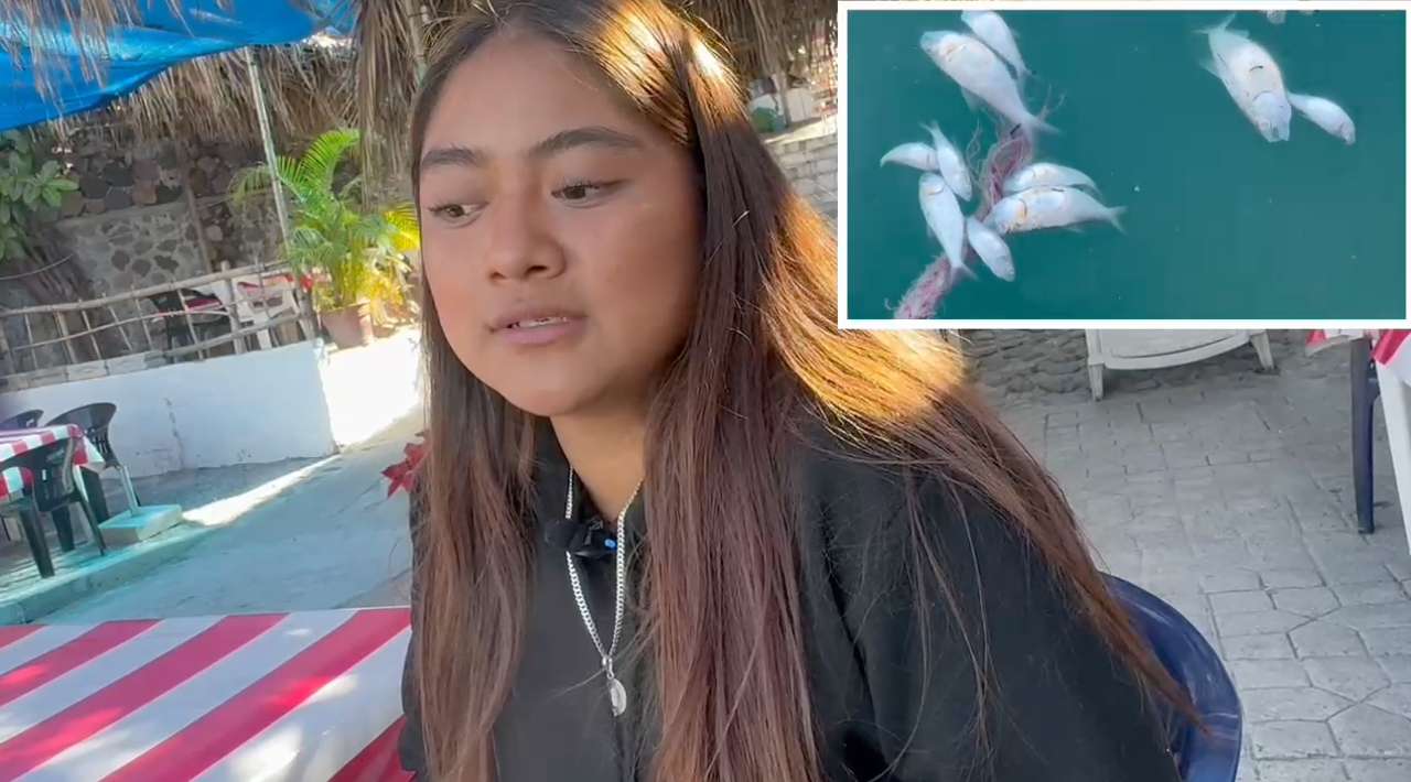 Bajas temperaturas provocan “vuelco” natural en el lago de Tequesquitengo