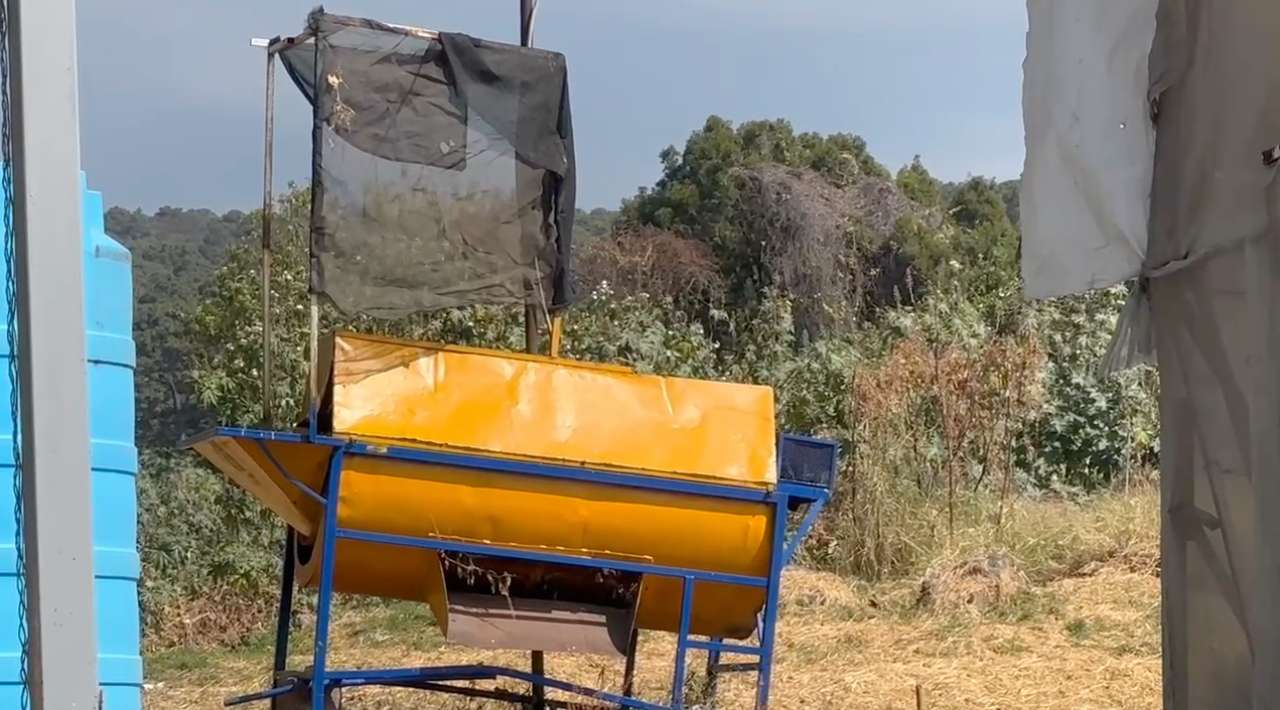Invita la UAEM a participar en la campaña de reciclaje de árboles de Navidad